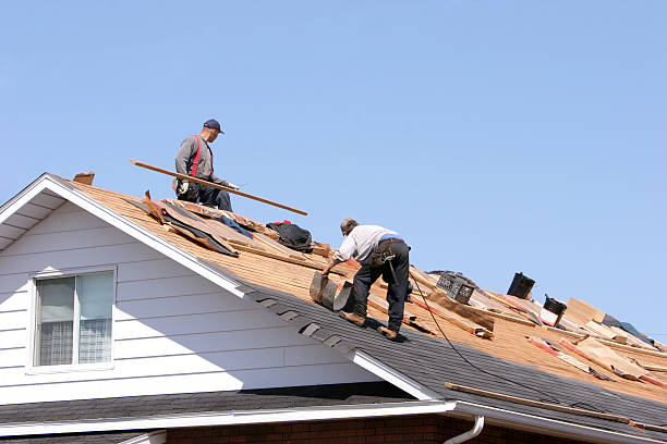Best Skylight Installation and Repair  in Pooler, GA